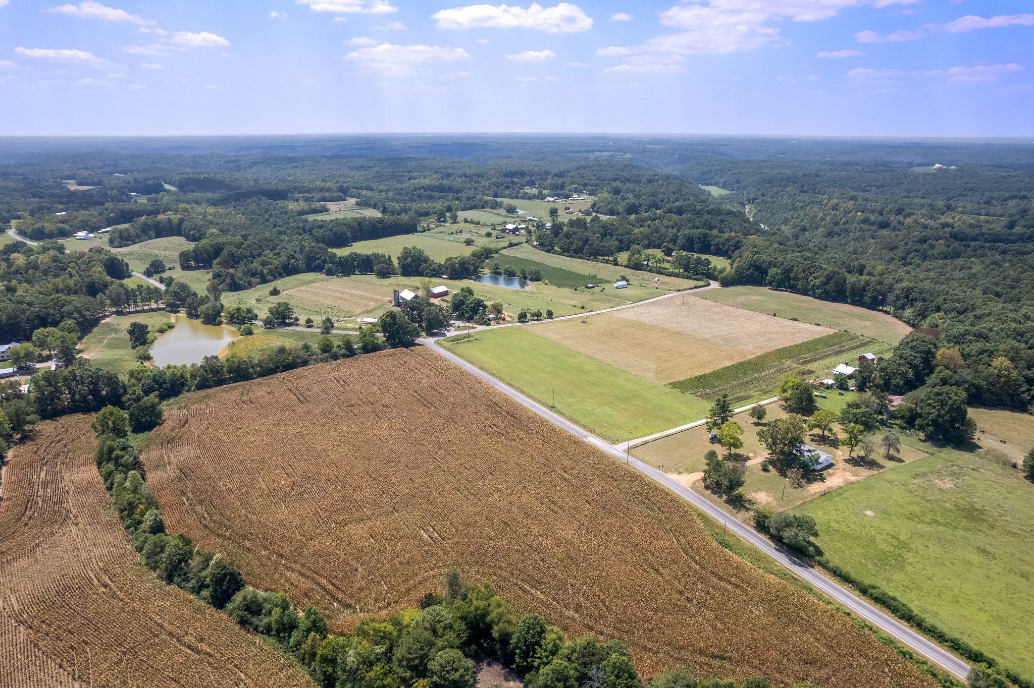 3701 Womble Ridge Road Ethridge, TN 38456 - Photo 49 of 55 Gallery Image 49
