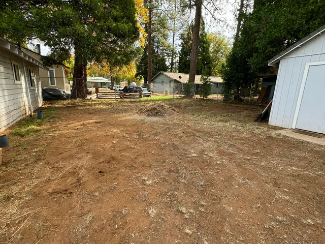 a view of yard with tree