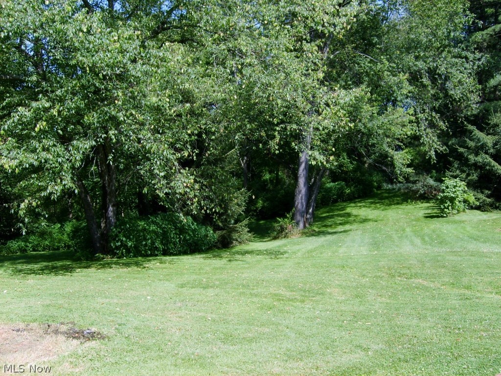 7102 Manchester Road Canal Fulton, OH 44614 - Photo 24 of 25 Gallery Image 24