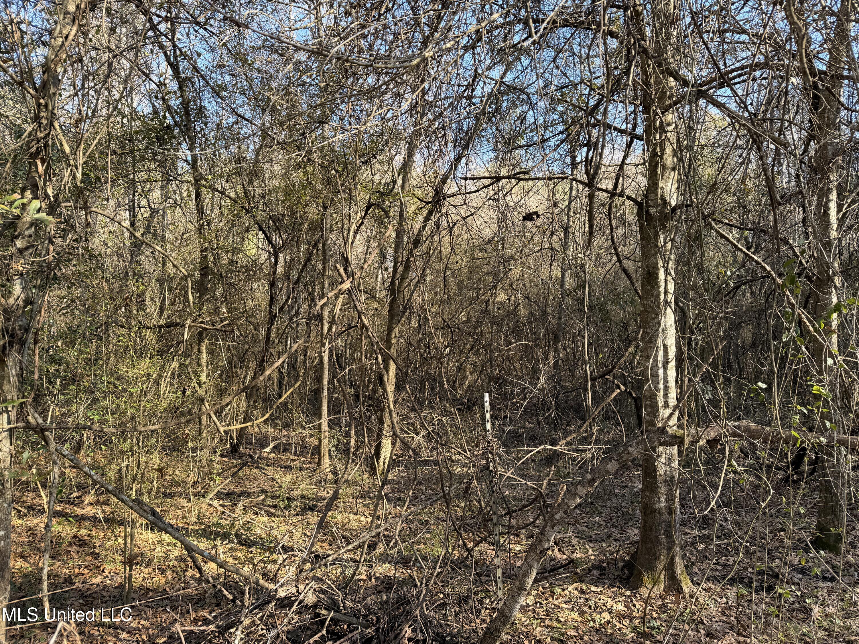 Franklin St Summit Summit, MS 39666 - Photo 2 of 3 IMG_0399