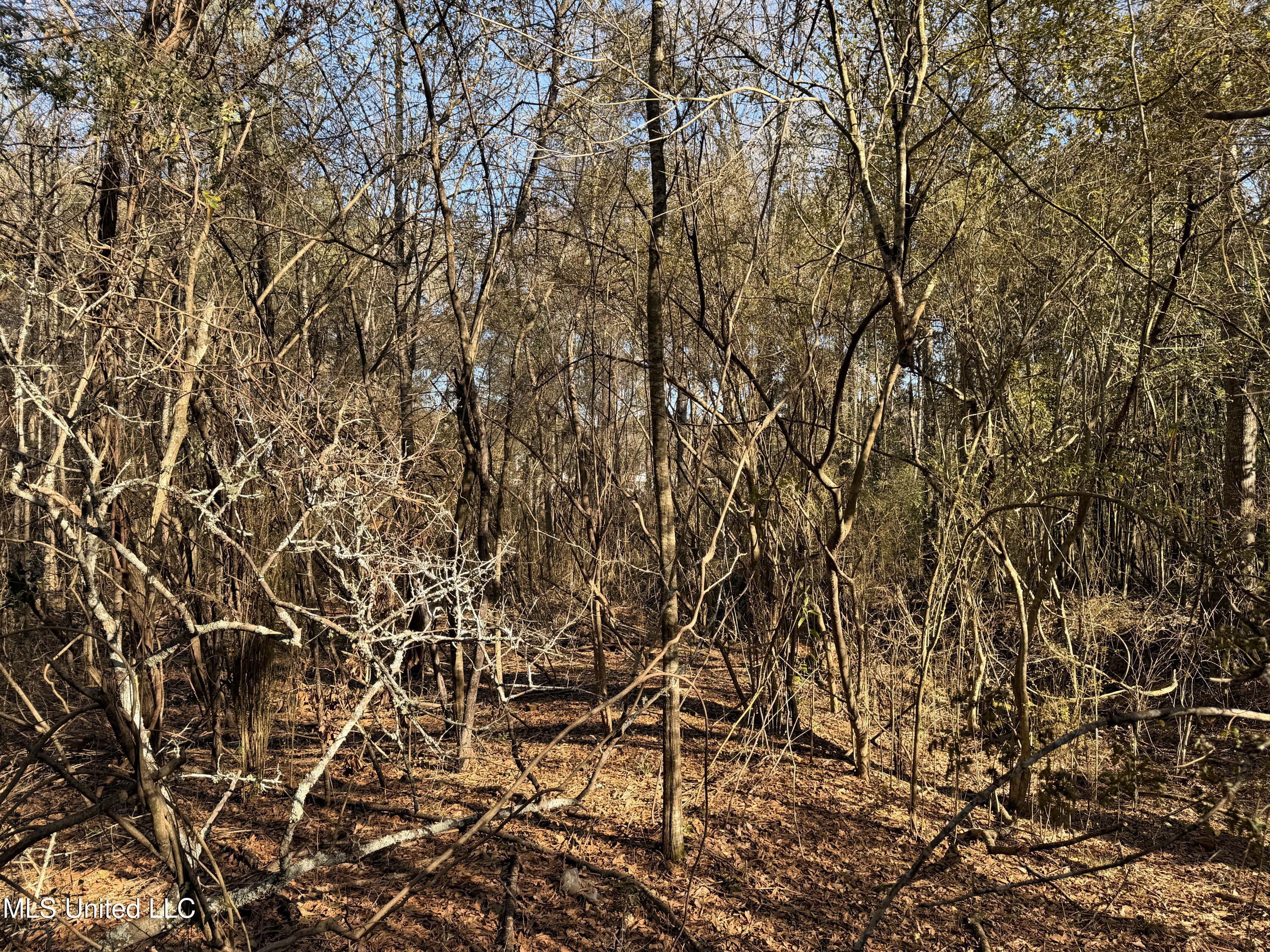 Franklin St Summit Summit, MS 39666 - Photo 3 of 3 IMG_0400