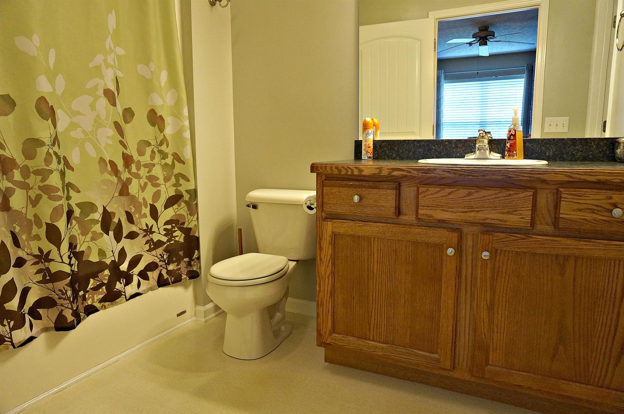 128 Filly Lane Springfield, TN 37172 - Photo 11 of 23 a bathroom with a granite countertop toilet sink and mirror