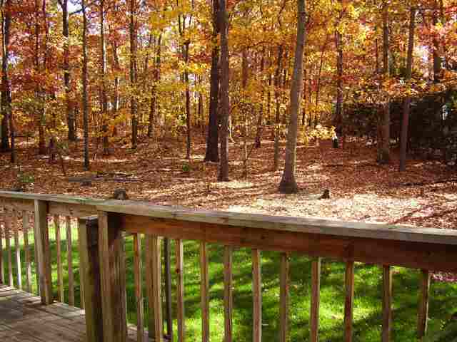 8 Moriston Road Mauldin, SC 29662 - Photo 11 of 15 Gallery Image 11