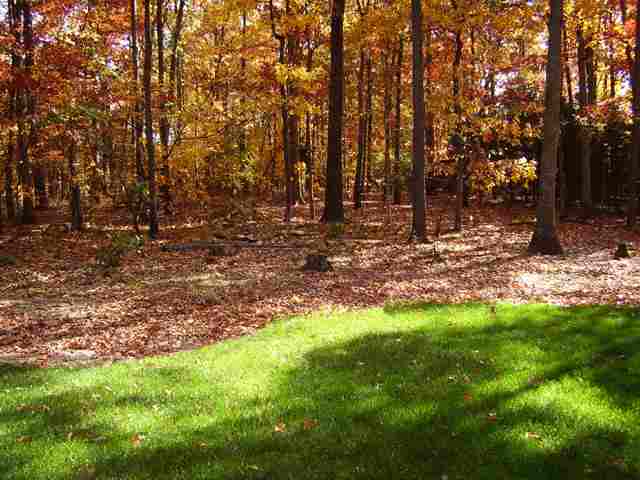 8 Moriston Road Mauldin, SC 29662 - Photo 12 of 15 Gallery Image 12