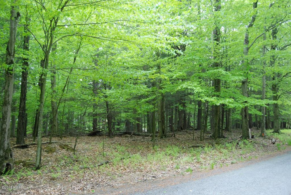 927 Hibernation Road Lake Ariel, PA 18436 - Photo 6 of 14