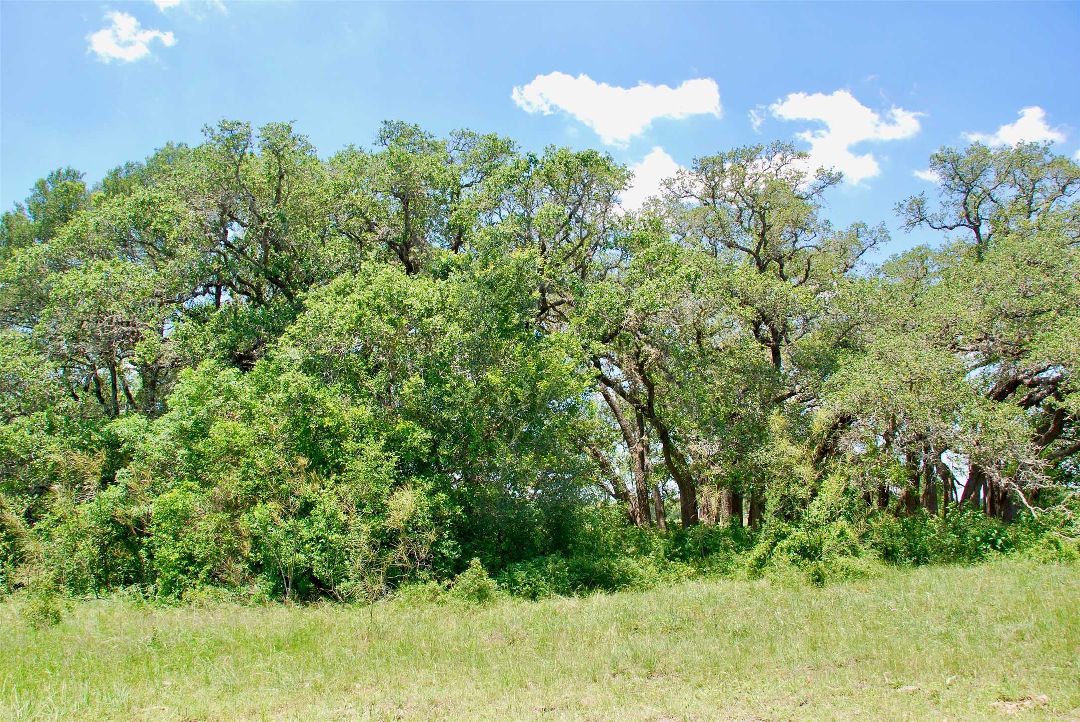 2170 Langdon Road Weimar, TX 78962 - Photo 23 of 31