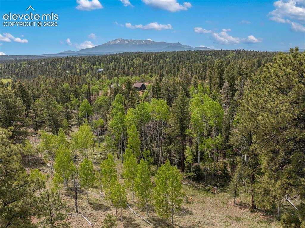 5542 N Road Divide, CO 80814 - Photo 43 of 50