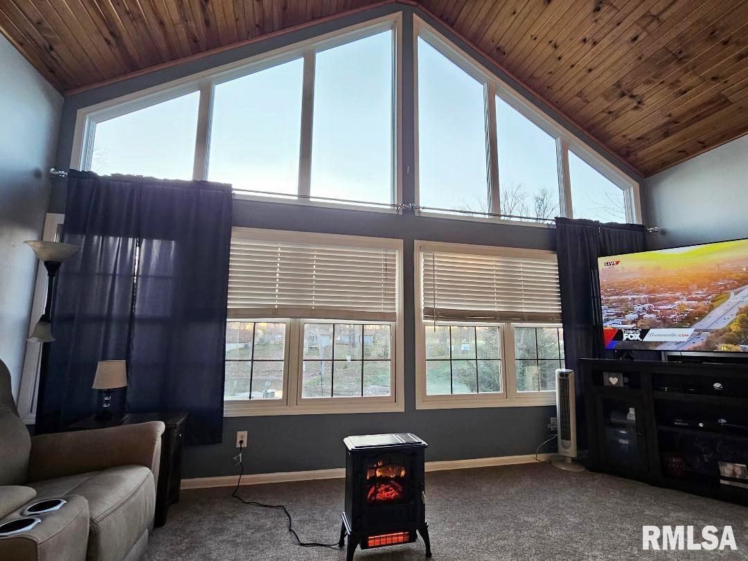 12720 Soaring Eagle Lane Shipman, IL 62685 - Photo 17 of 47