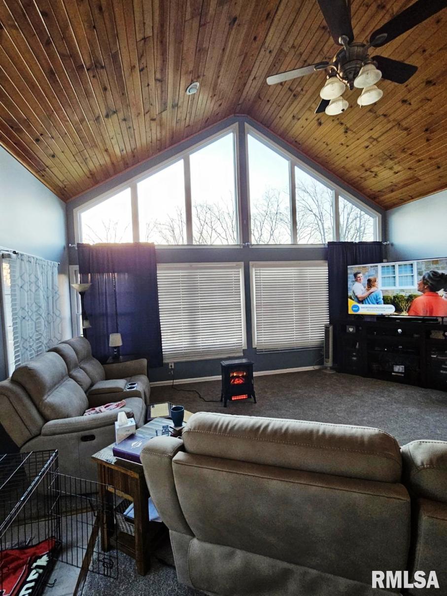 12720 Soaring Eagle Lane Shipman, IL 62685 - Photo 18 of 47