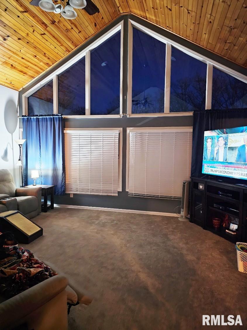 12720 Soaring Eagle Lane Shipman, IL 62685 - Photo 19 of 47