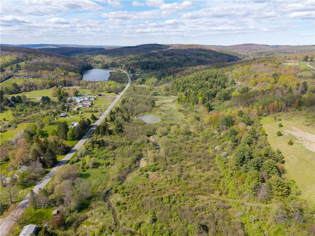 0 County Route 13 Bath, NY 14810 - Photo 7 of 26