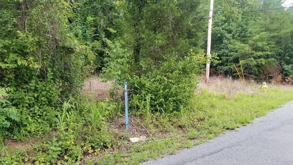 1270 Stump Hollow Road Spring City, TN 37381 - Photo 5 of 15 Gallery Image 5