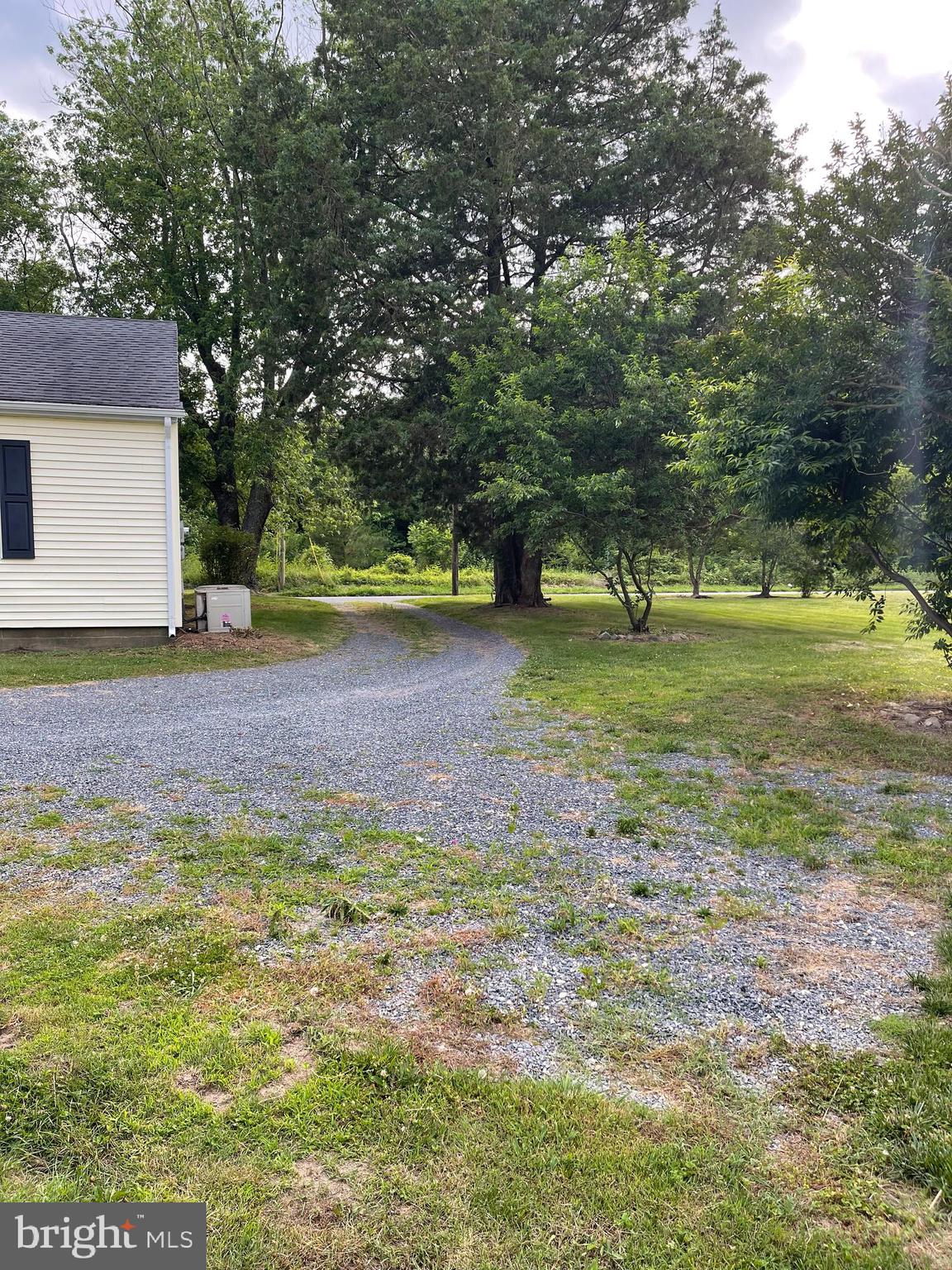 26124 Hobbs Road Denton, MD 21629 - Photo 4 of 25