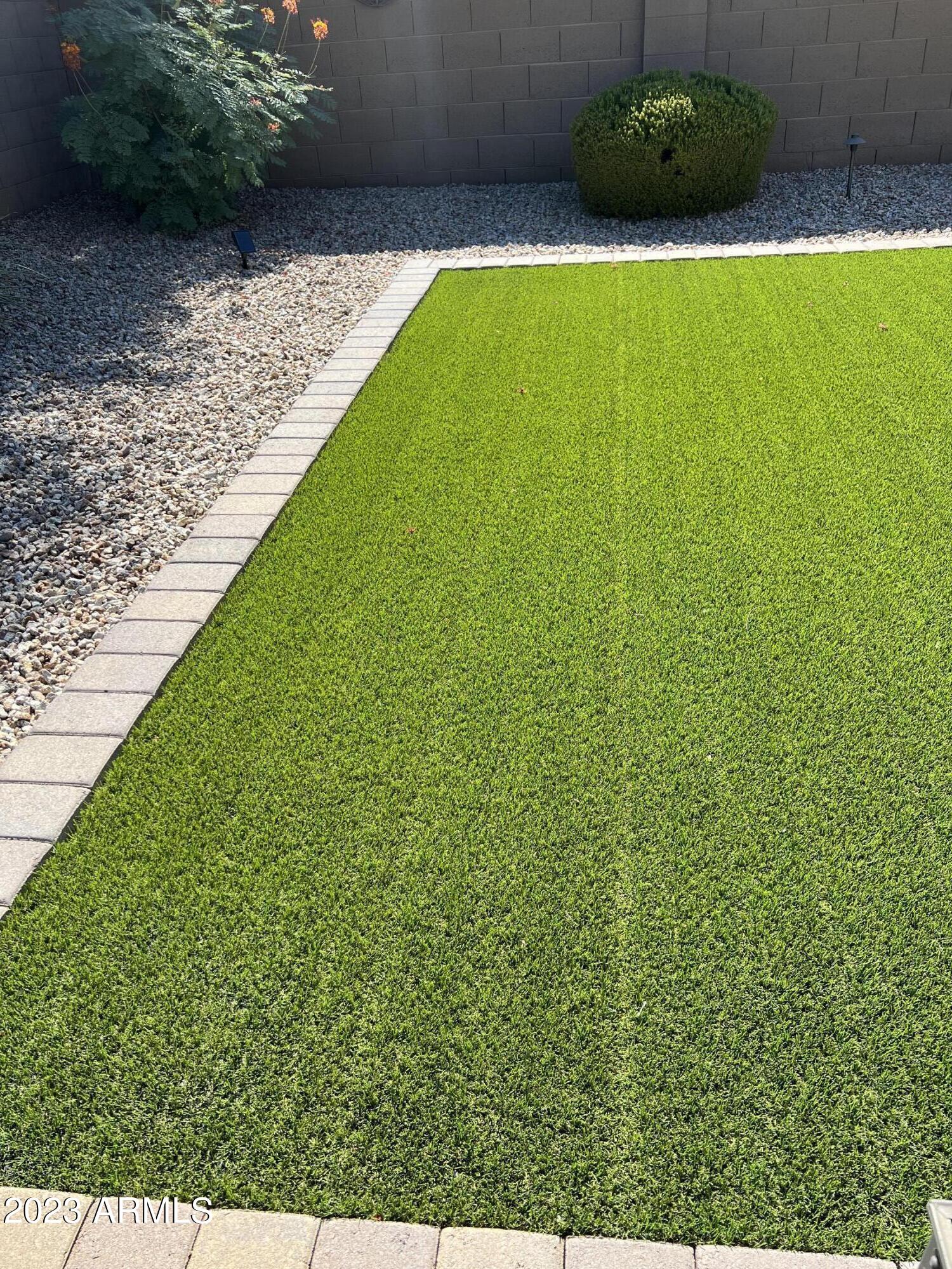 3406 East Escuda Road Phoenix, AZ 85050 - Photo 36 of 40 astro turf