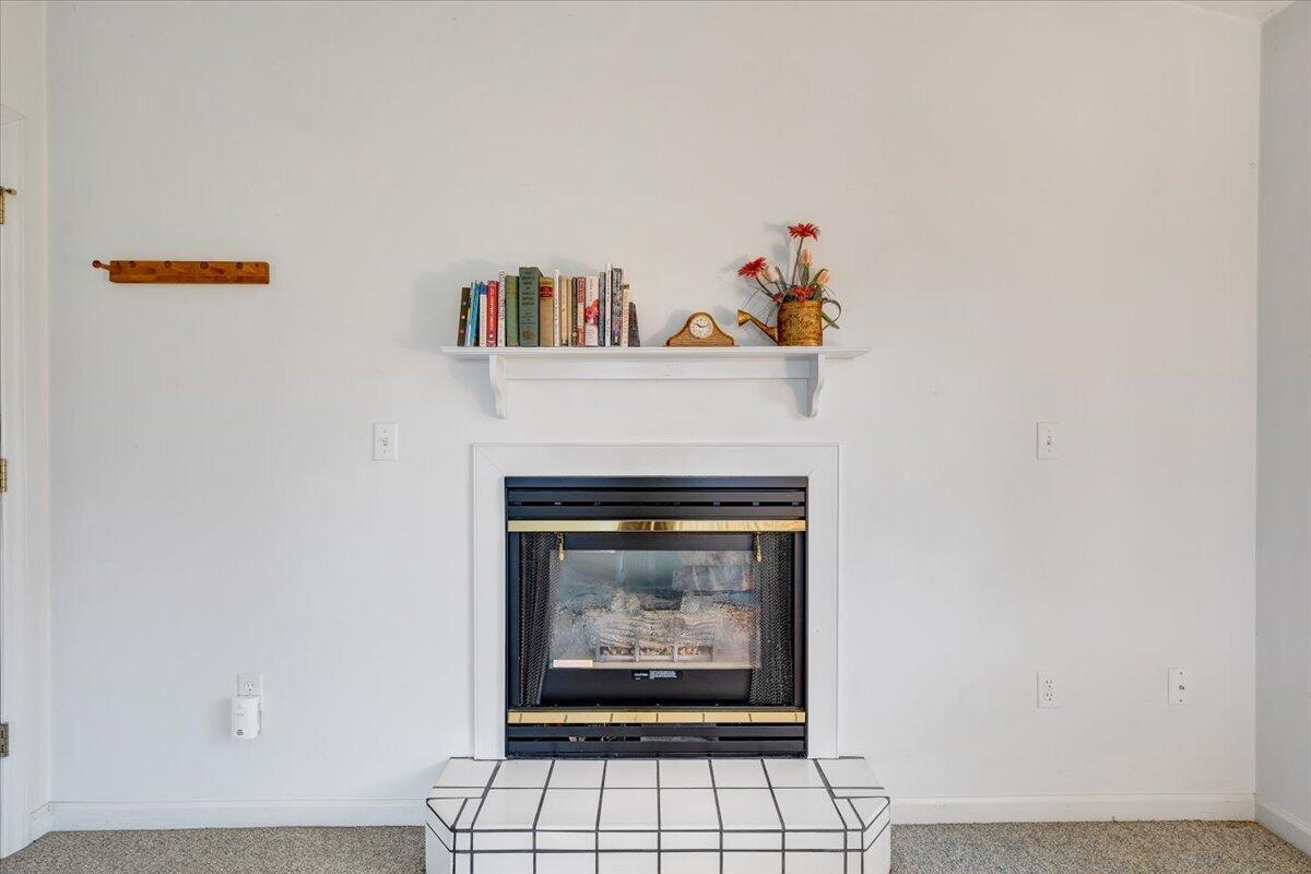 674 Azalea Road Daleville, VA 24083 - Photo 37 of 66 036-MIB06229