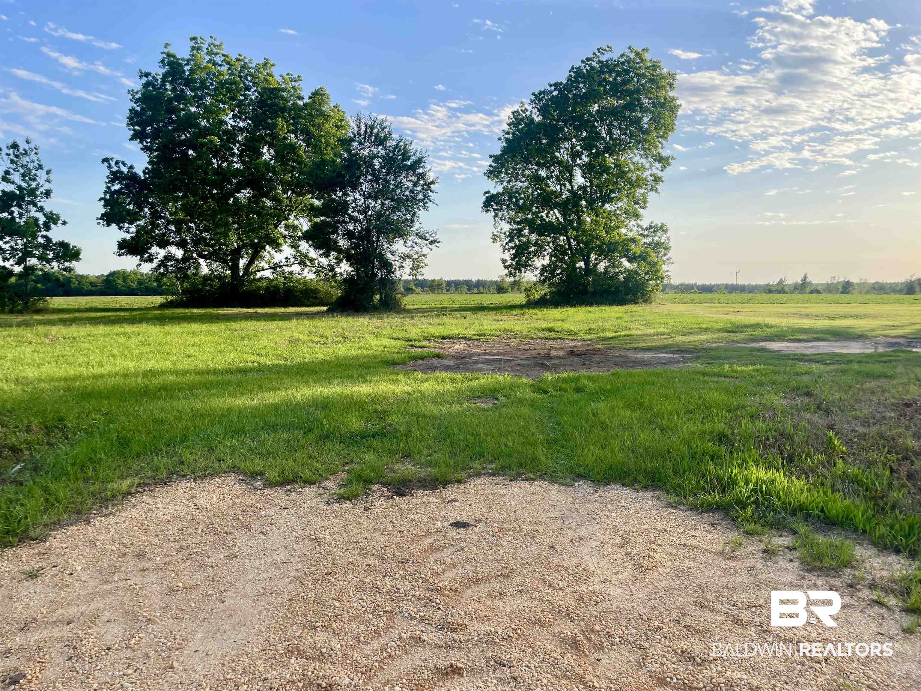 3595 Sardine Road Brewton, AL 36426 - Photo 2 of 9 View of yard featuring a view of countryside