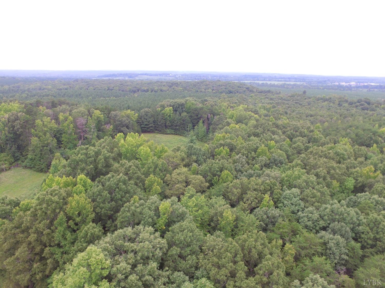 2608 Epsons Road Gladys, VA 24554 - Photo 8 of 18 Gallery Image 8