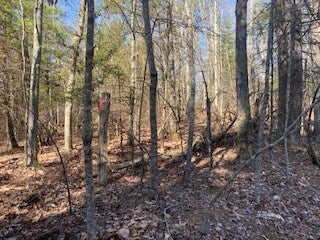 Tbd Lincoln Road, Unit 3 Galax, VA 24333 - Photo 50 of 64 Gallery Image 50