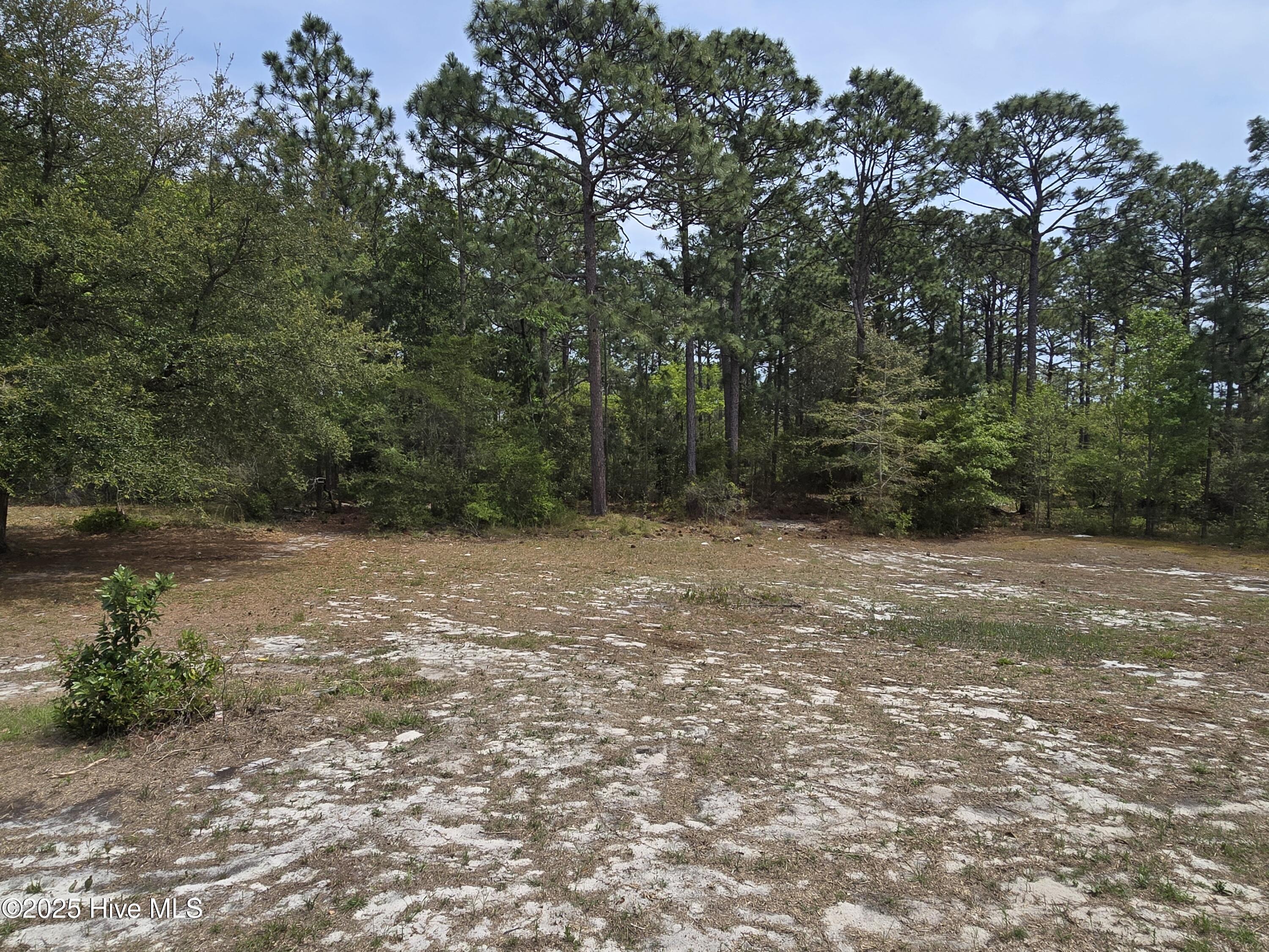17 Crown Point Road Hubert, NC 28539 - Photo 26 of 29 20250415_135029