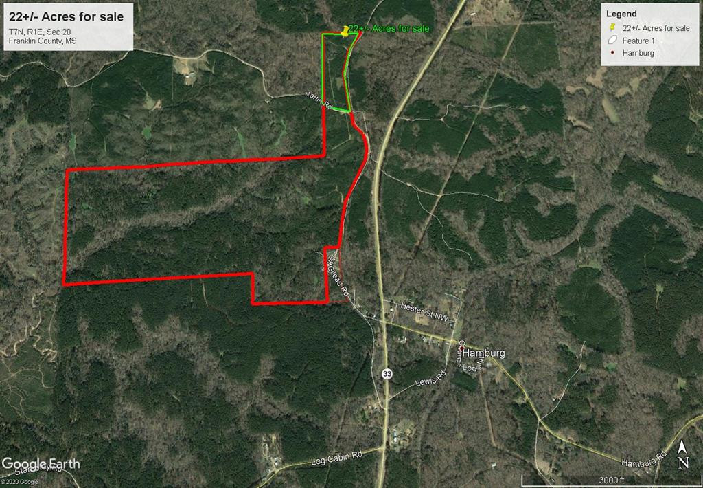 0 Hamburg Roxie Road Roxie, MS 39661 - Photo 1 of 1 Main View