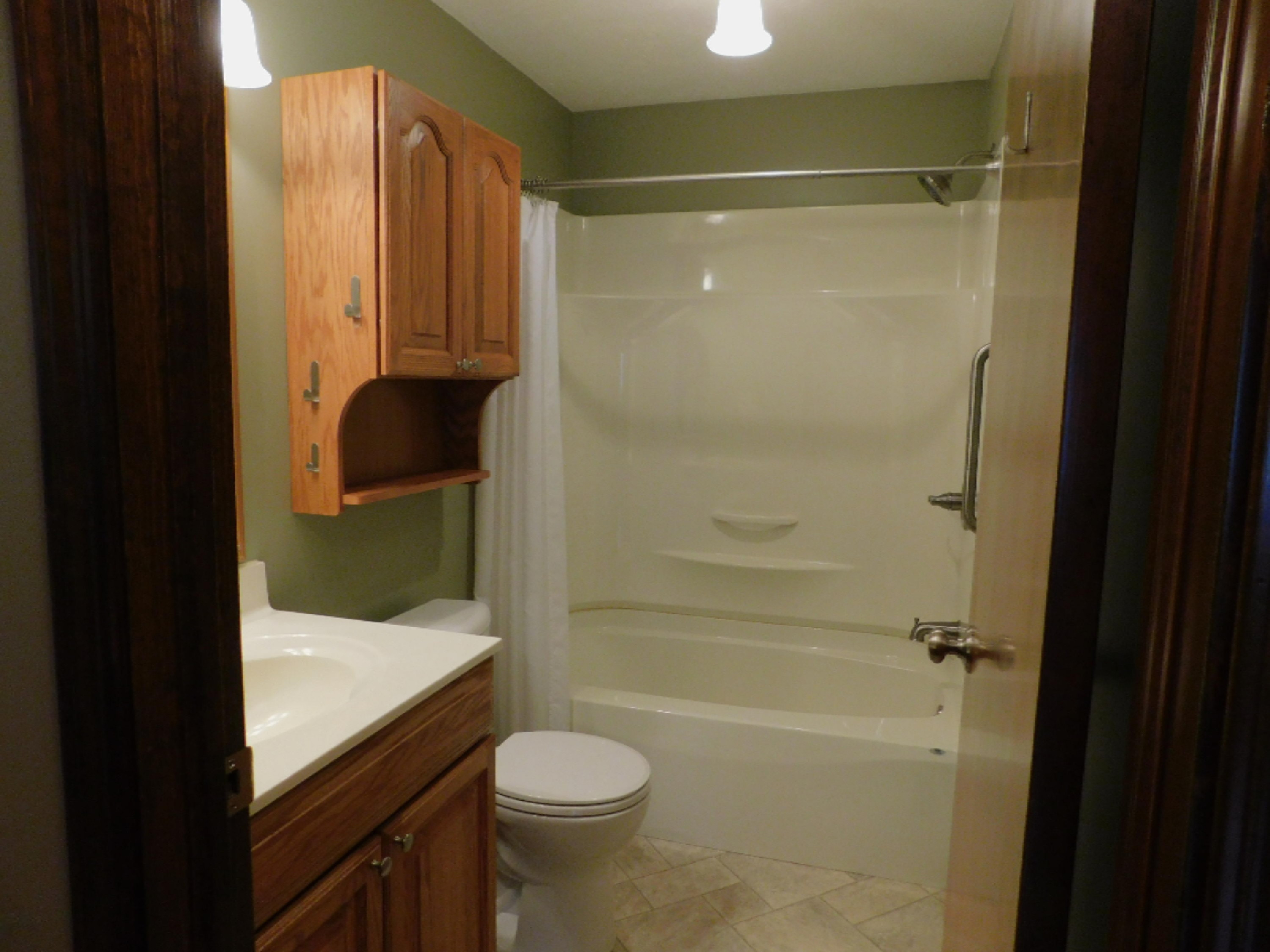 227 North Ruggles Street Bronson, MI 49028 - Photo 29 of 54 Moon 037
