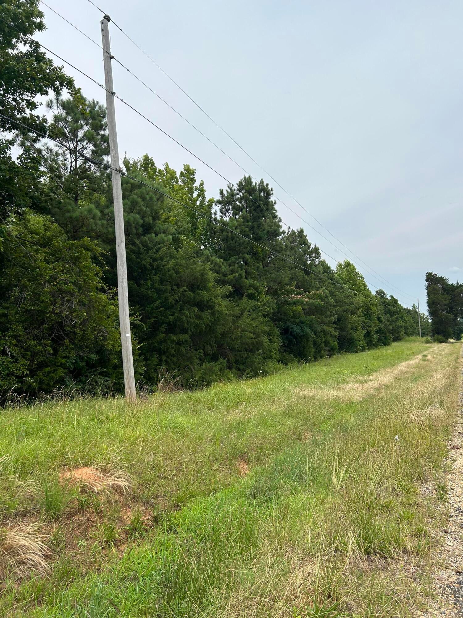 Mt Zion Road Smithville, MS 38870 - Photo 1 of 1 Gallery Image 1