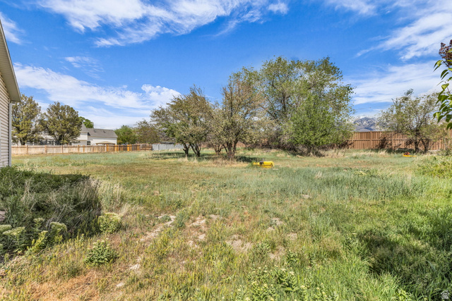 10705 Green Ridge Drive Sandy, UT 84070 - Photo 52 of 55 View of yard