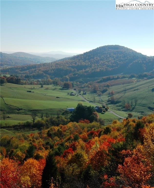 46 Ridgewood Road Sparta, NC 28675 - Photo 3 of 11