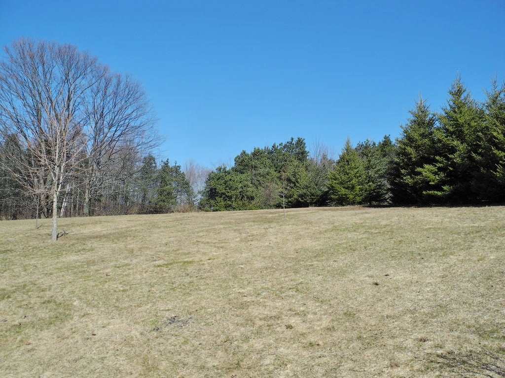 12555 East Tatch Road Omena, MI 49674 - Photo 12 of 51 1829248-11.JPG