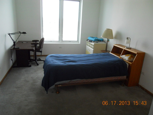 515 Main Street, Unit 706 Evanston, IL 60202 - Photo 11 of 19