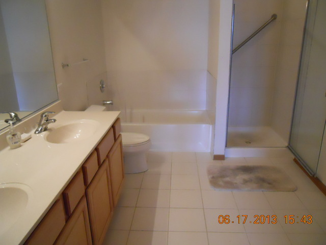 515 Main Street, Unit 706 Evanston, IL 60202 - Photo 12 of 19