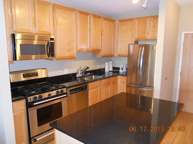 515 Main Street, Unit 706 Evanston, IL 60202 - Photo 4 of 19