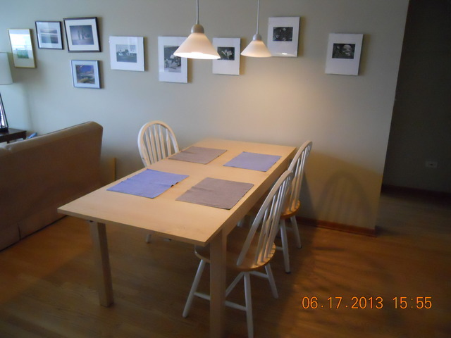 515 Main Street, Unit 706 Evanston, IL 60202 - Photo 5 of 19