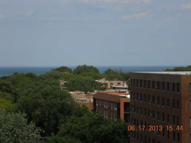 515 Main Street, Unit 706 Evanston, IL 60202 - Photo 8 of 19