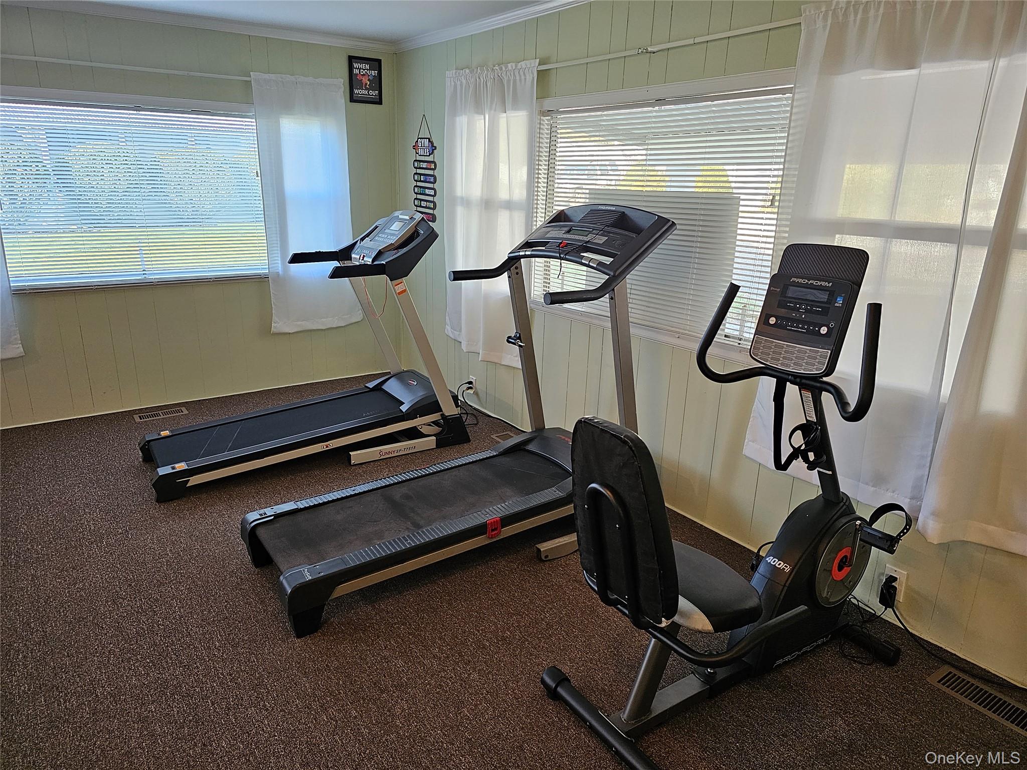 1964 River Road, Unit 35 Calverton, NY 11933 - Photo 12 of 14 Exercise area with wood walls and ornamental molding