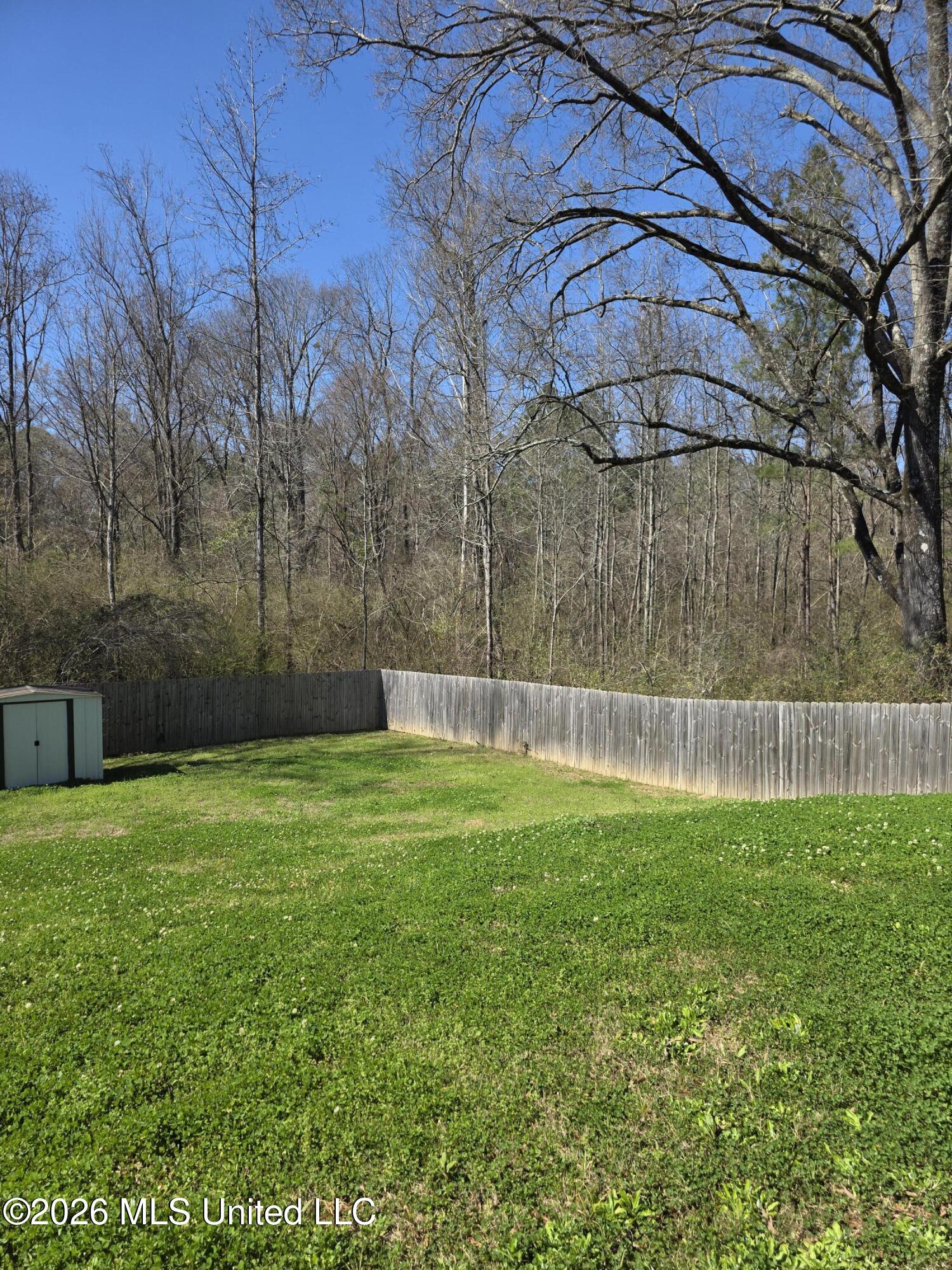 1112 Mt Elam Church Road Pearl, MS 39208 - Photo 32 of 33 20260227_130133