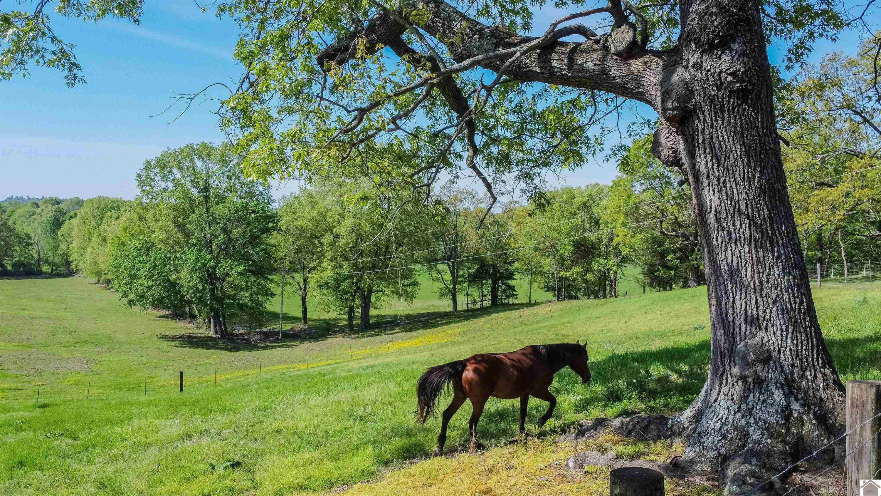 715 Corinth Church Road Grand Rivers, KY 42045 - Photo 47 of 47 Photo 50