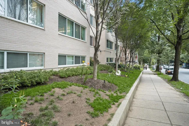a front view of a house with a yard and trees