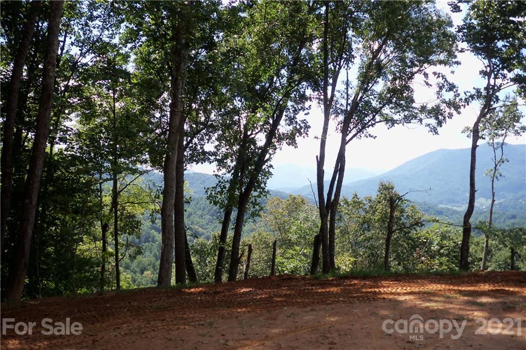 6 Cinnamon Ridge Waynesville, NC 28785 - Photo 14 of 31 Gallery Image 14