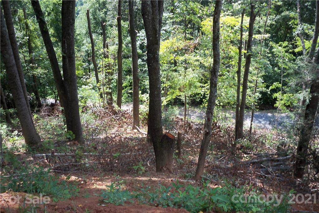 6 Cinnamon Ridge Waynesville, NC 28785 - Photo 22 of 31 Gallery Image 22