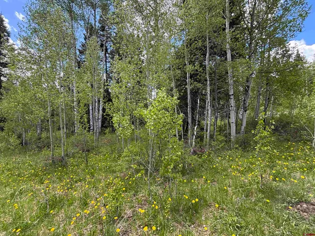 a view of a green yard