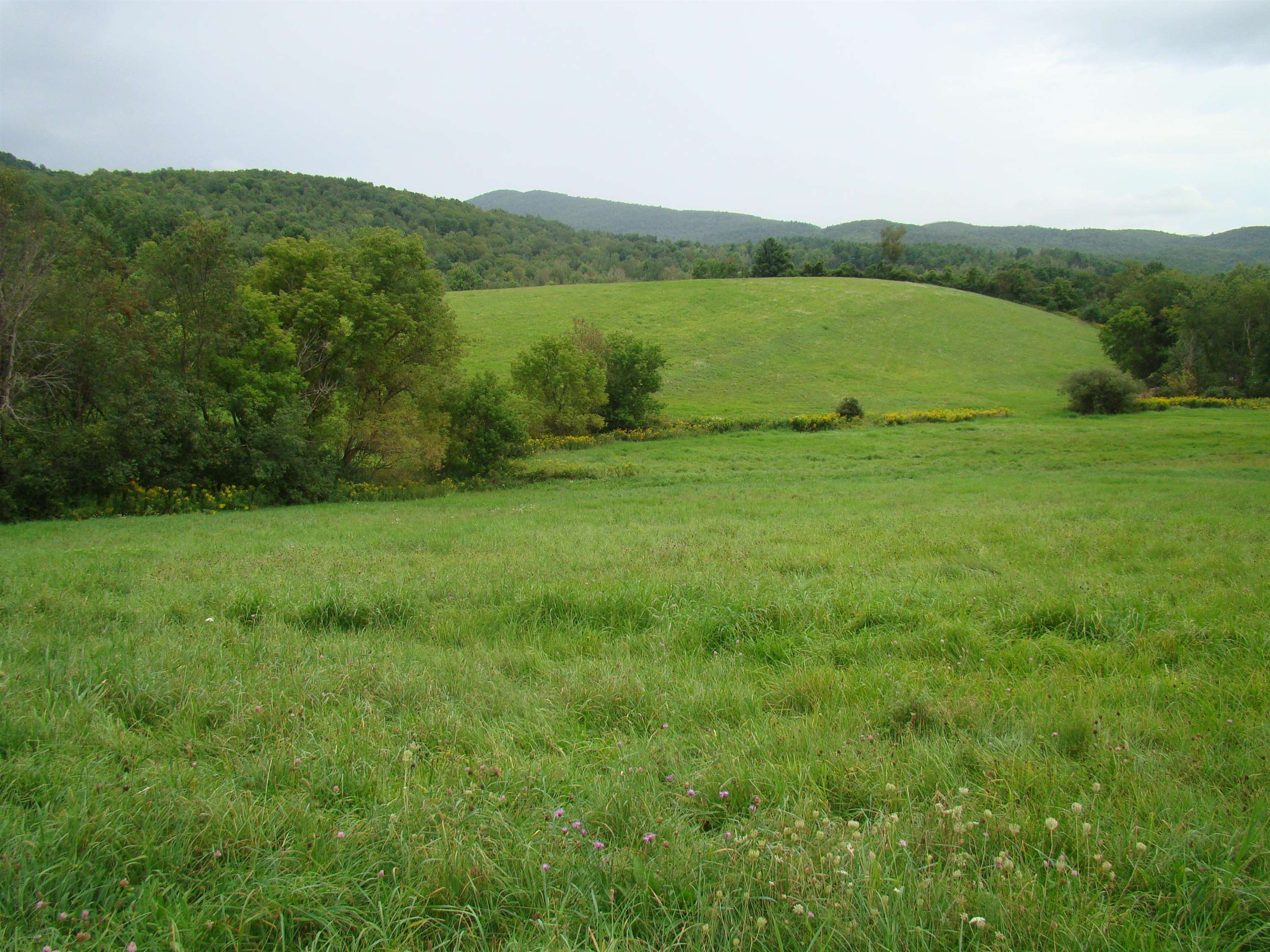 4067 East Hubbardton Road Castleton, VT 05735 - Photo 2 of 8