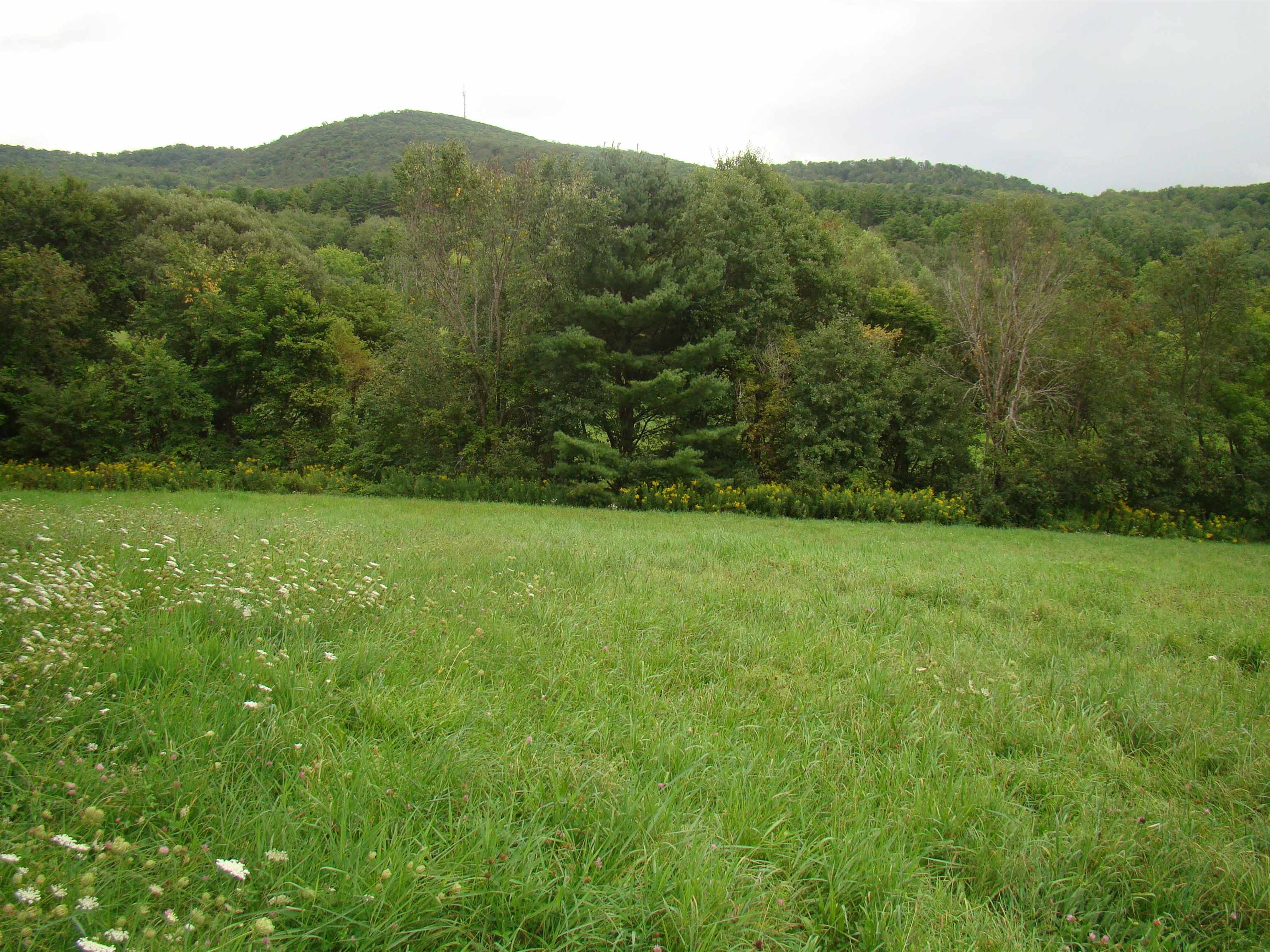 4067 East Hubbardton Road Castleton, VT 05735 - Photo 3 of 8