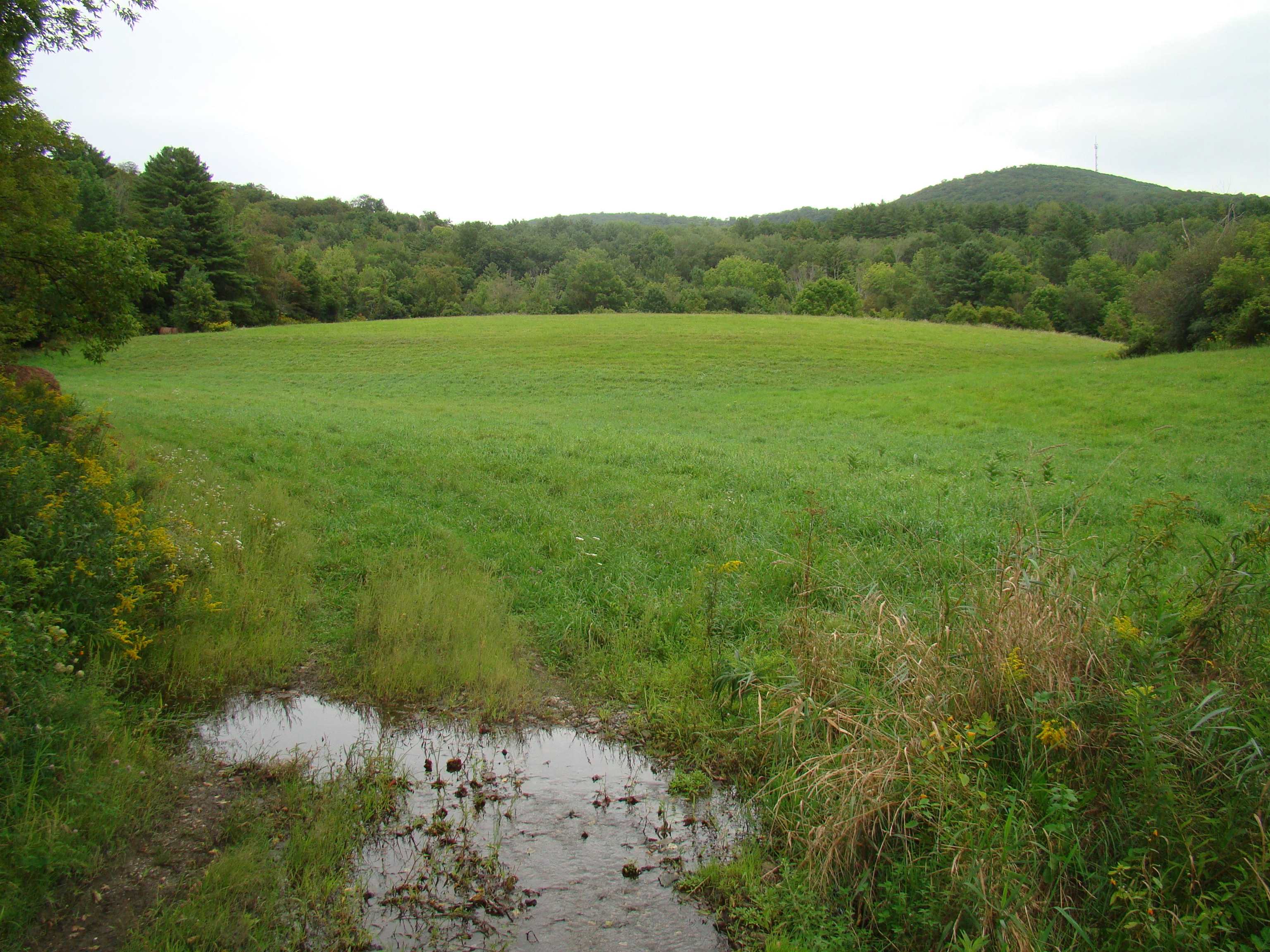 4067 East Hubbardton Road Castleton, VT 05735 - Photo 4 of 8