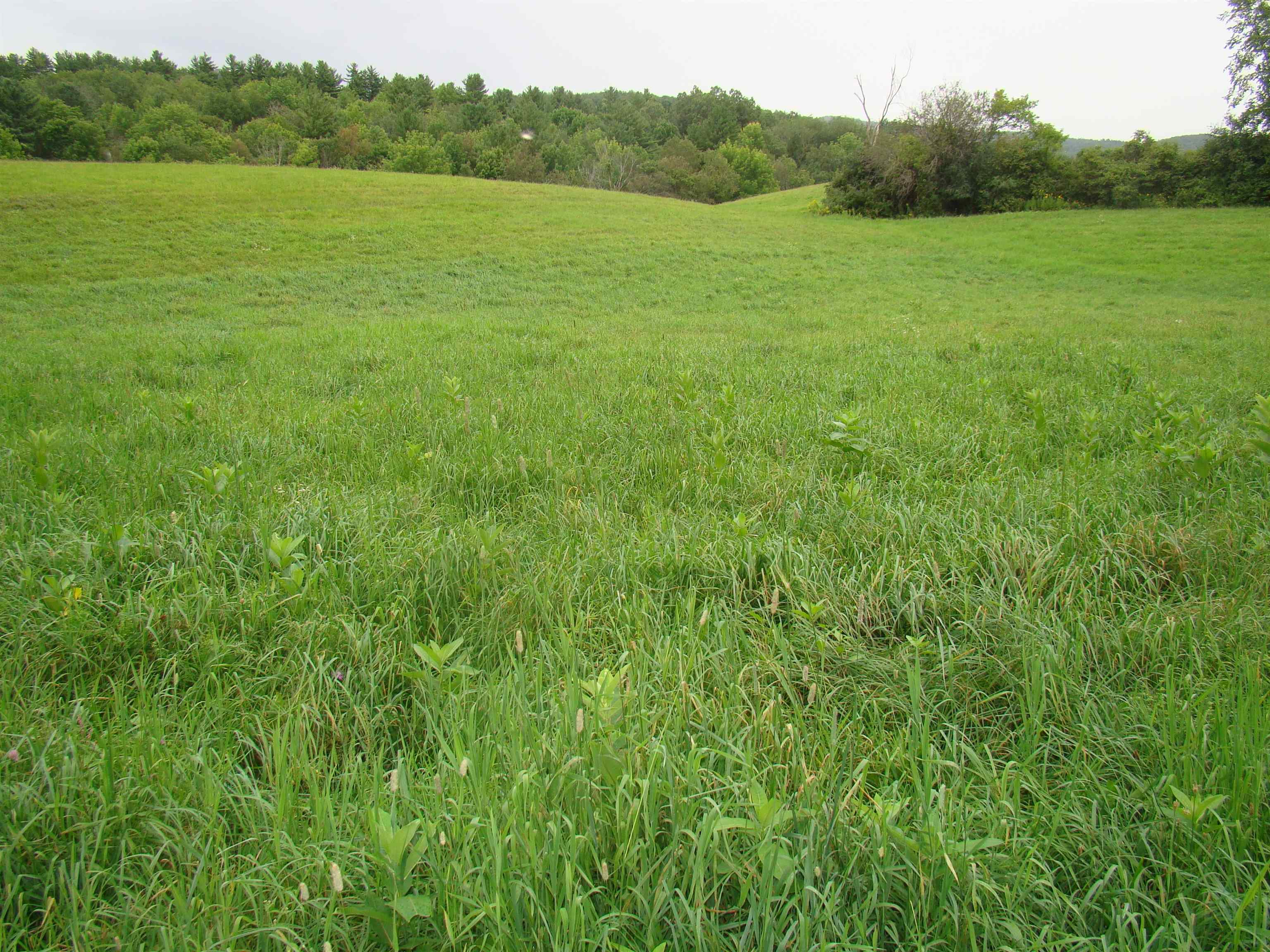 4067 East Hubbardton Road Castleton, VT 05735 - Photo 5 of 8