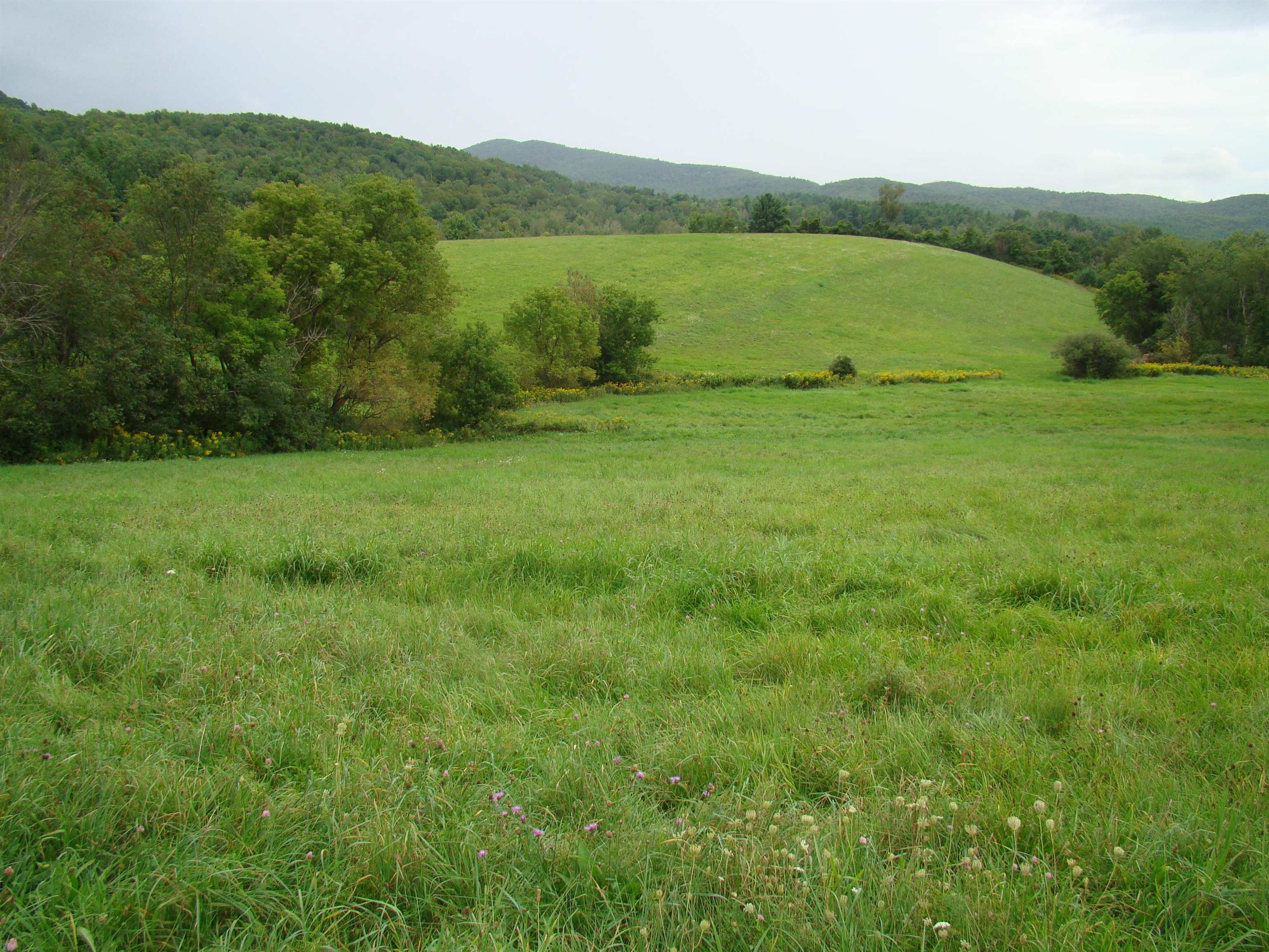 4067 East Hubbardton Road Castleton, VT 05735 - Photo 6 of 8