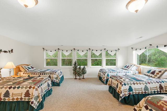 1133 Paris Canyon Road Paris, ID 83261 - Photo 25 of 74 Spacious room with light neutral walls and light beige carpet flooring