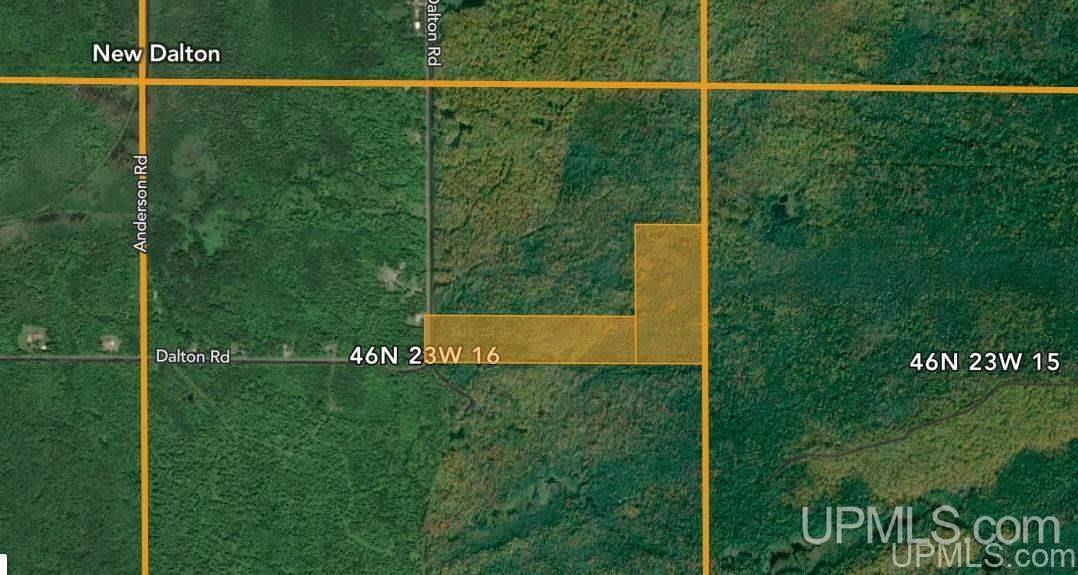 Tbd Dalton Road Skandia, MI 49885 - Photo 11 of 14