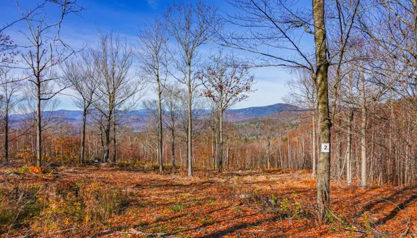 $129,900 | Lot 2 Mine Road, Stoneham, ME 04231