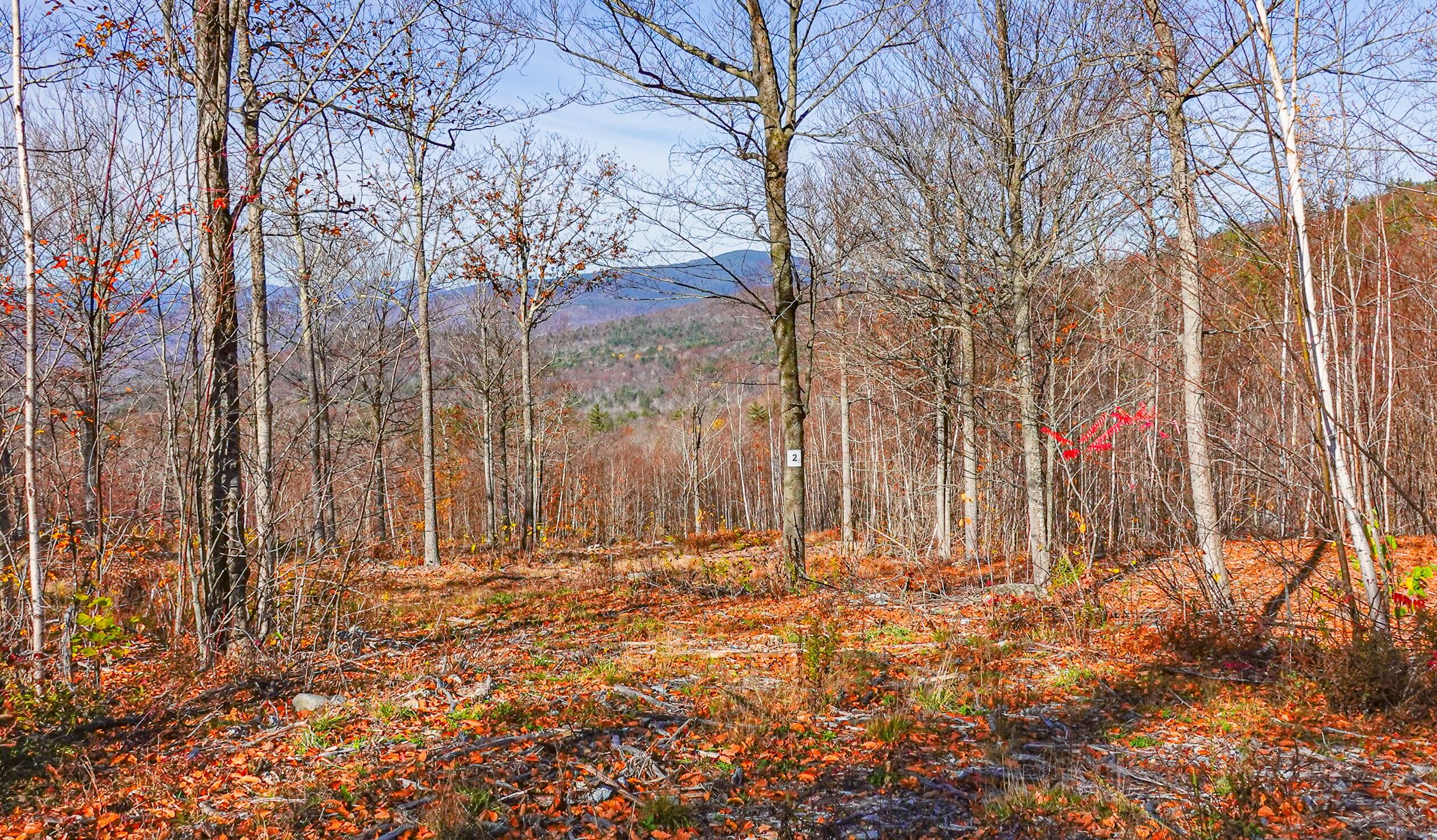 Lot 2 Mine Road Stoneham, ME 04231 - Photo 2 of 6 Lot 2-B merrill farm lots-63 copy